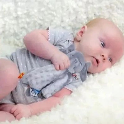doudou bebe dans bras bebe