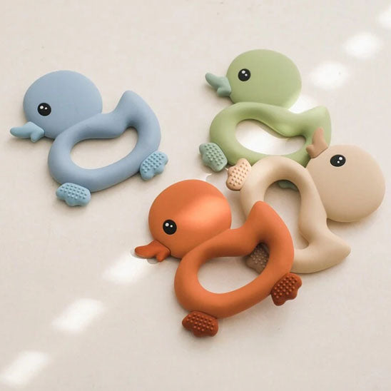 anneau dentition bebe canard varietes couleurs