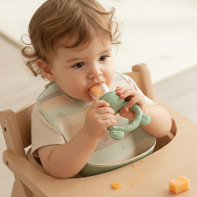 bebe assis chaise haute mord grignoteuse bebe
