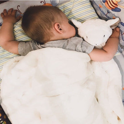 bebe dort avec doudou pour bebe agneau blanc