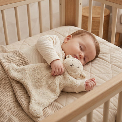 bebe dort paisiblement avec doudou naissance agneau
